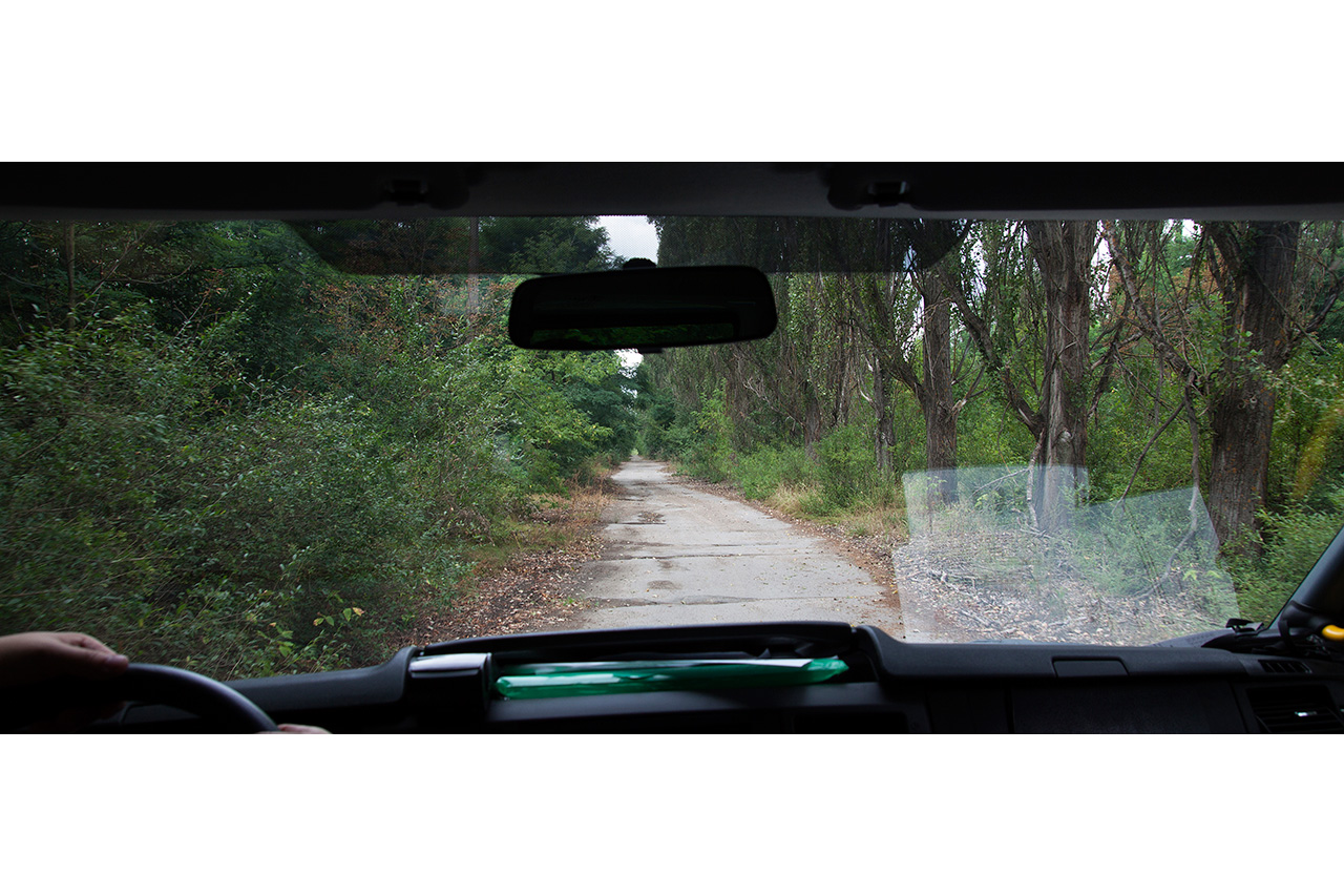 View through a windshield driving down an overgrown road inside the Chernobyl zone