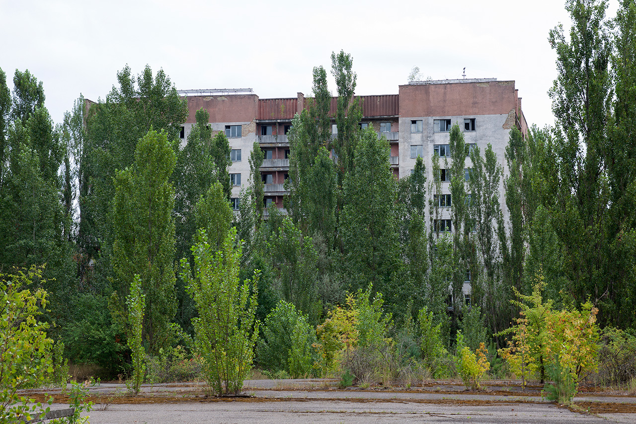Abandoned Soviet apartment block hidden behind poplars in Pripyat
