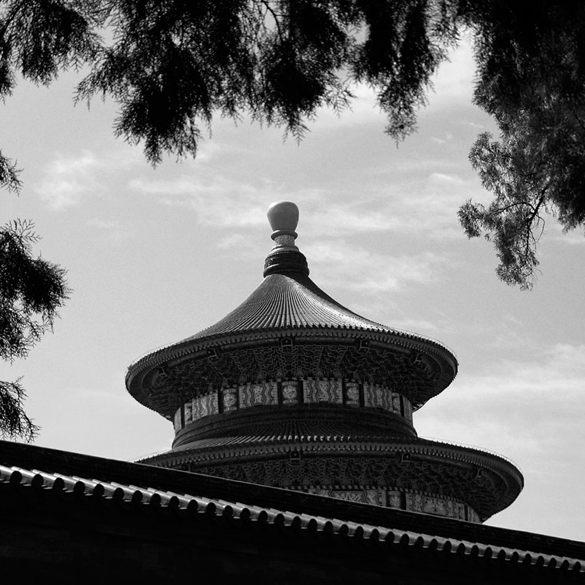 Temple of Heaven roof framed by pine branches, Beijing