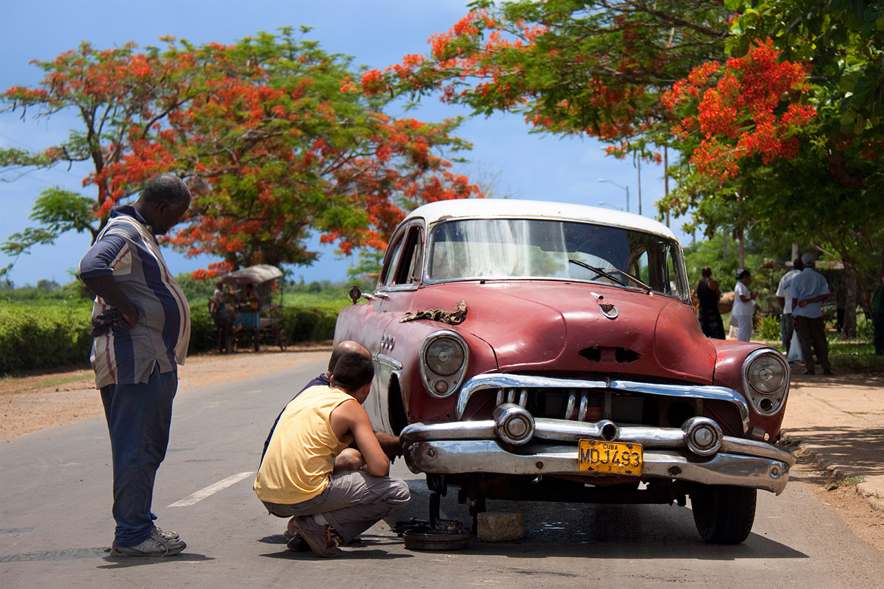 Man fixing a red vintage car under a flamboyant tree, Cuba