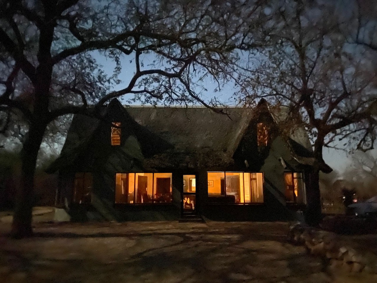 Thatched lodge glowing at dusk under bare trees in Eswatini