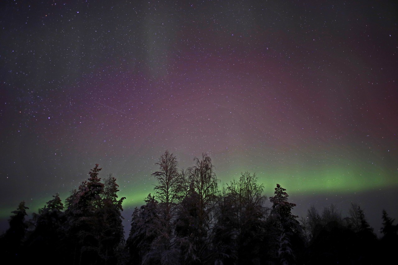 Purple and green aurora borealis above frosted trees in Finland