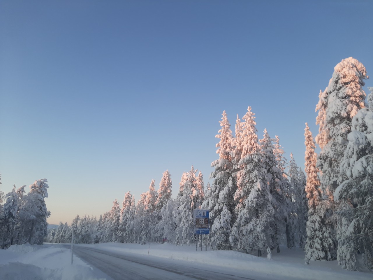 Icy road lined with pink-lit snowy trees in Lapland