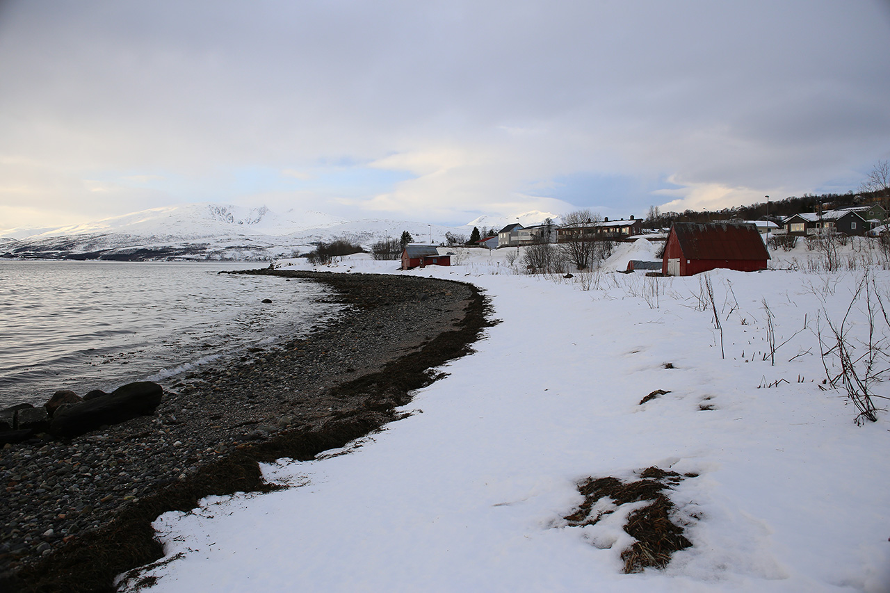 Pebble shoreline and red boathouses along an Arctic fjord