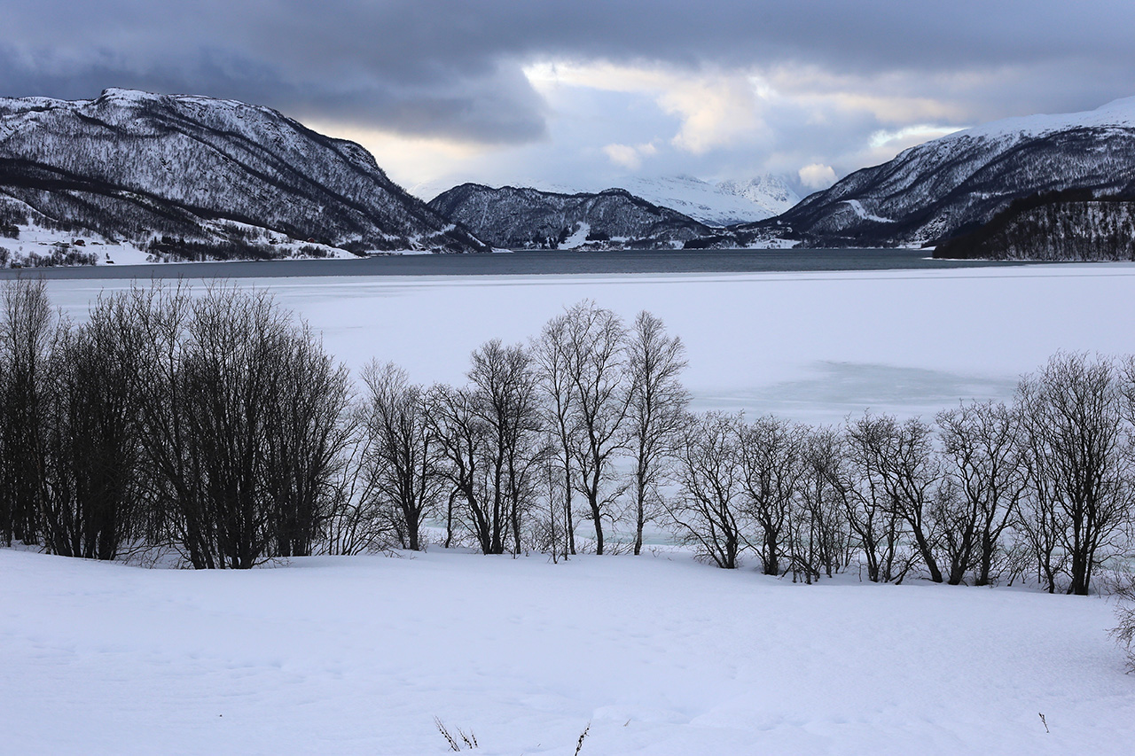 Frozen lake and bare birch trees framed by snowy mountains, Tromsø
