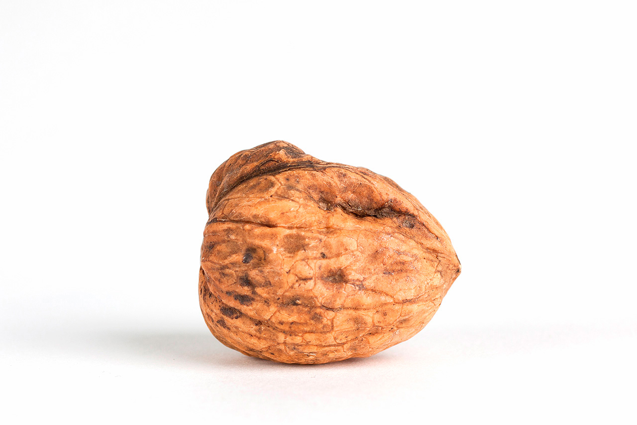 Walnut close-up