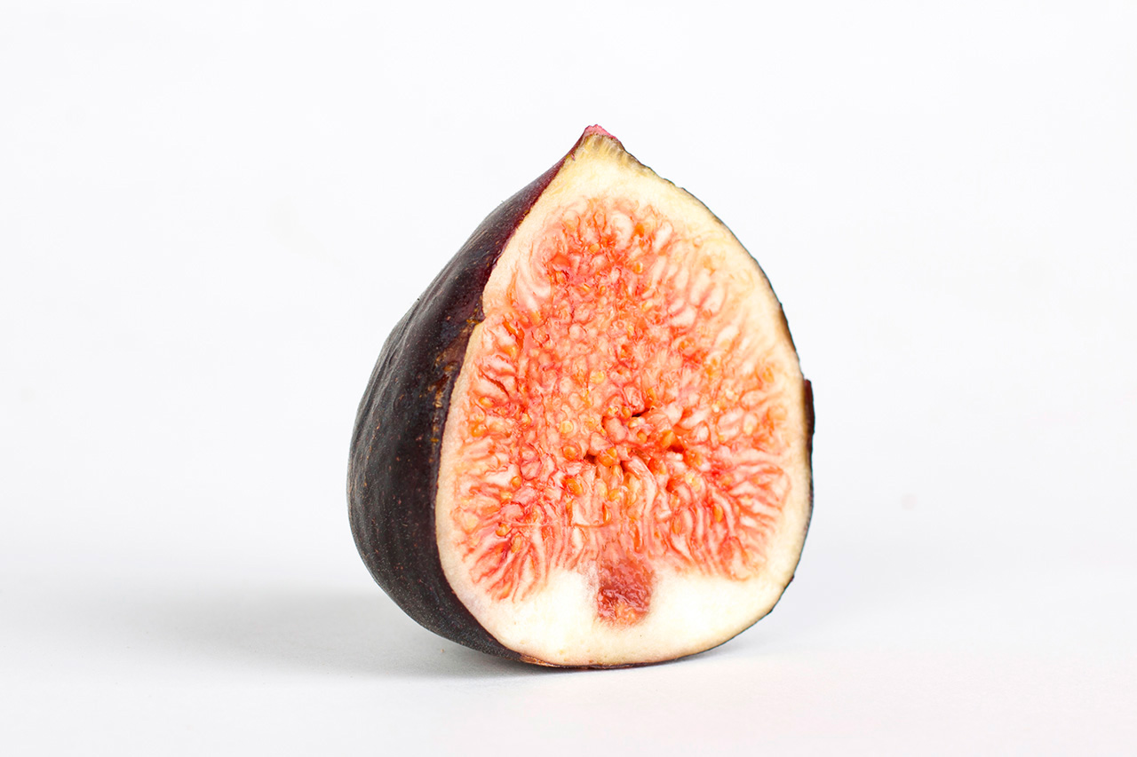 Fig cross-section