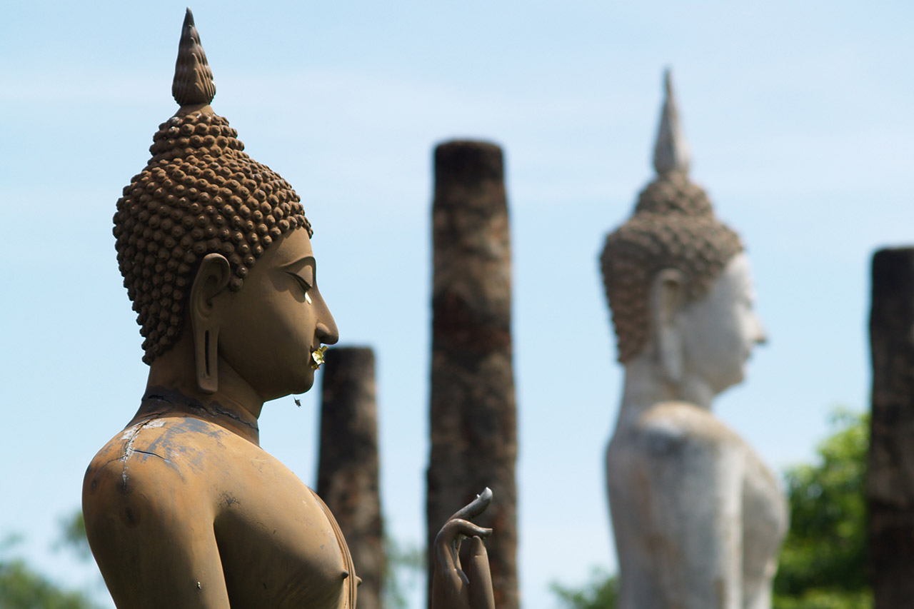 Two Buddha statues in profile among ancient columns, Sukhothai